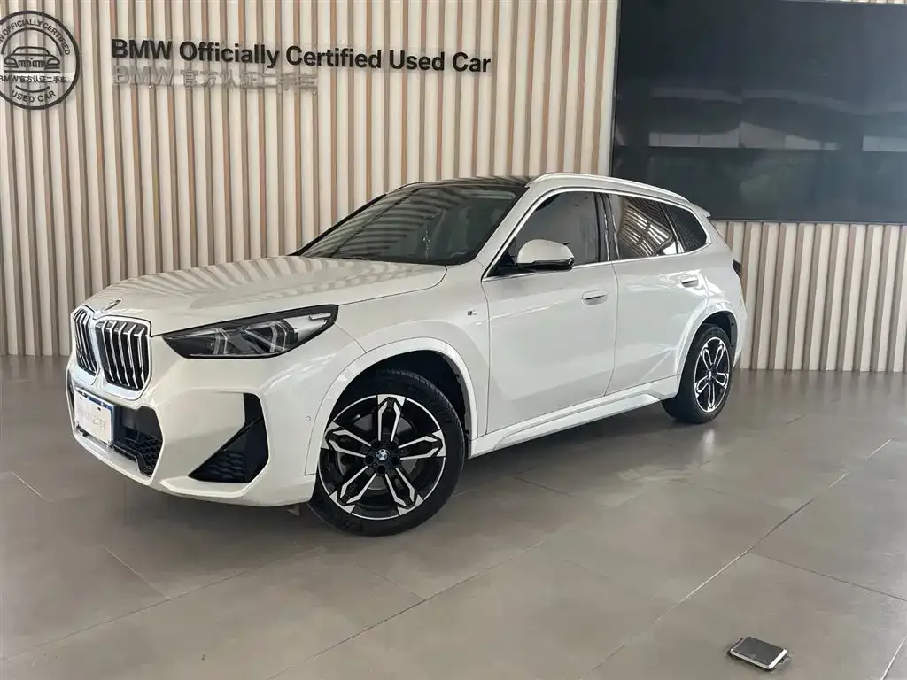 BMW X1 — фото 1