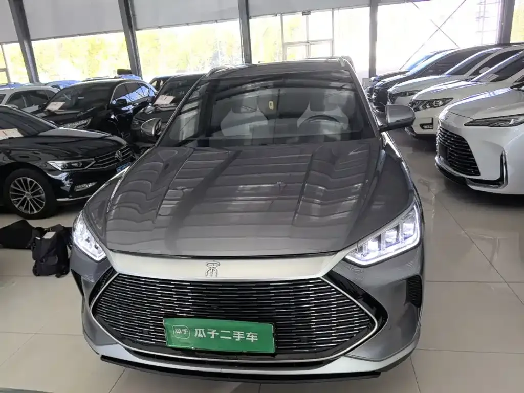 BYD PLUS New Energy — фото 8
