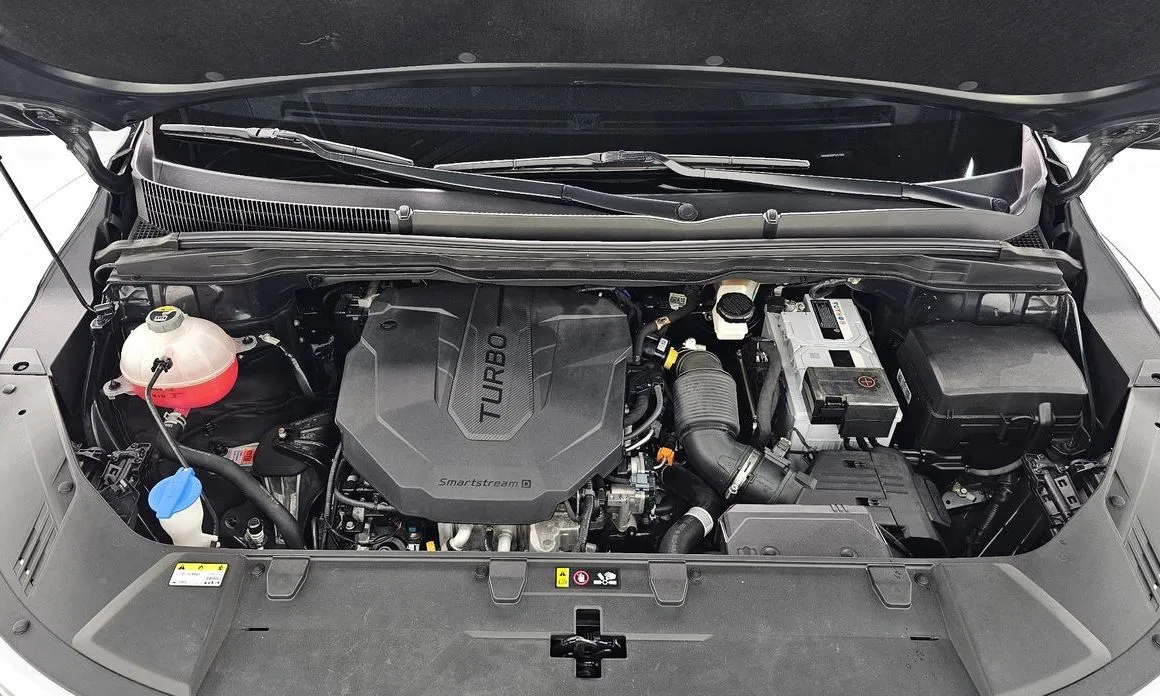Kia Carnival — фото 10
