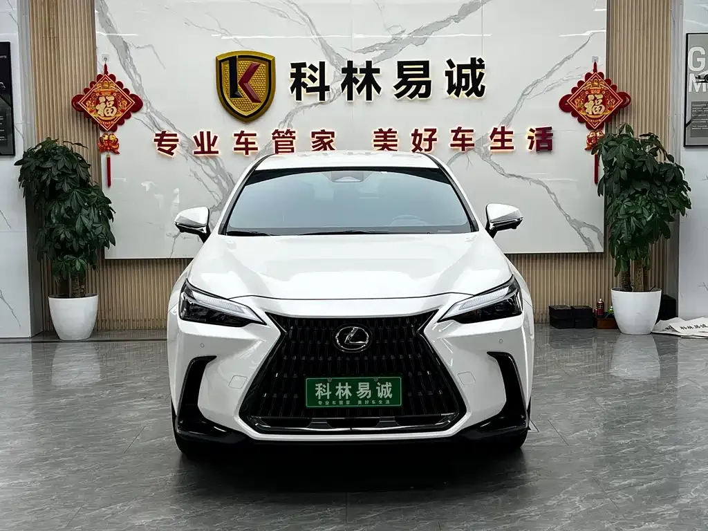 Lexus NX — фото 6