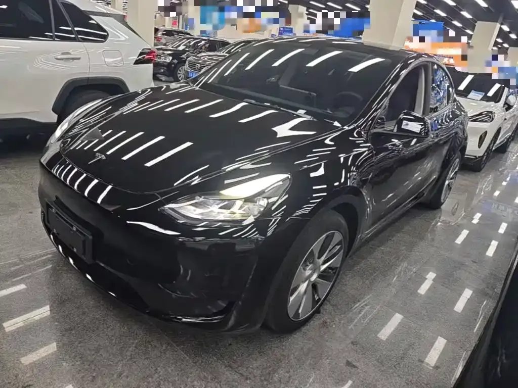 Tesla Model Y — фото 1