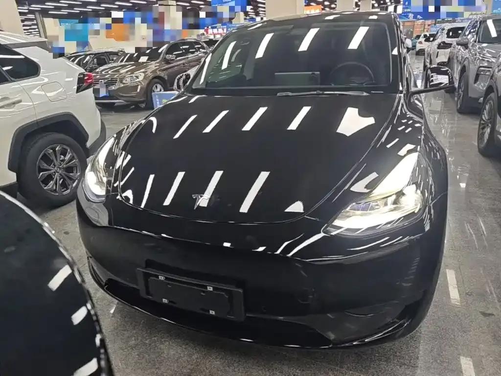 Tesla Model Y — фото 10