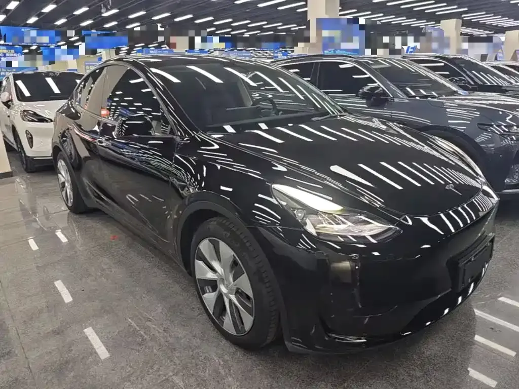 Tesla Model Y — фото 2