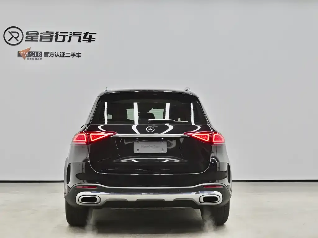 Mercedes-Benz GLE (Import) — фото 8