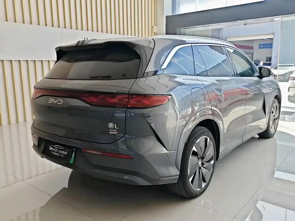 BYD Tang L — фото 3