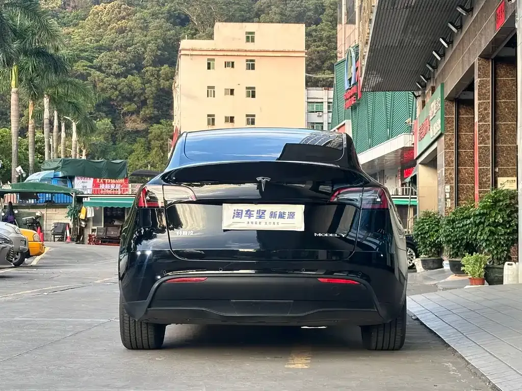Tesla Model Y — фото 9