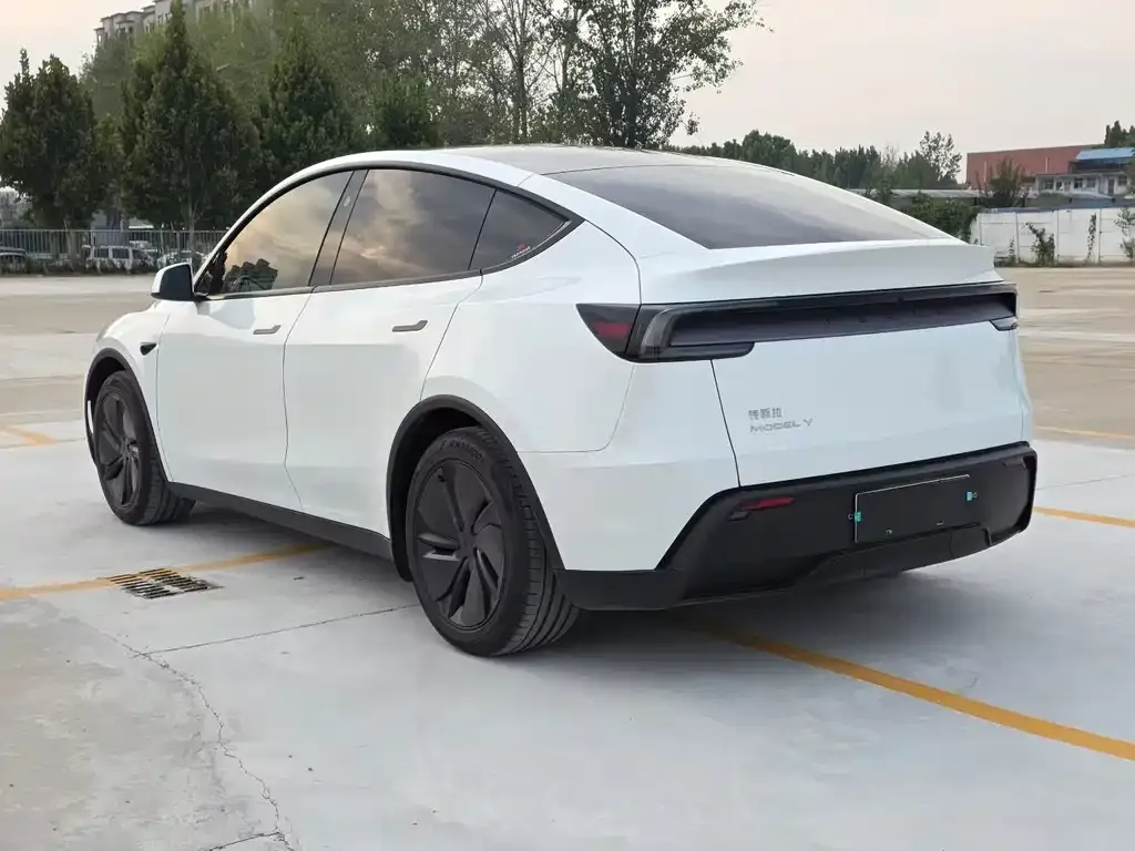 Tesla Model Y — фото 9