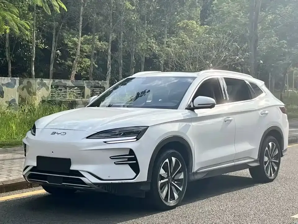 BYD PLUS New Energy — фото 1