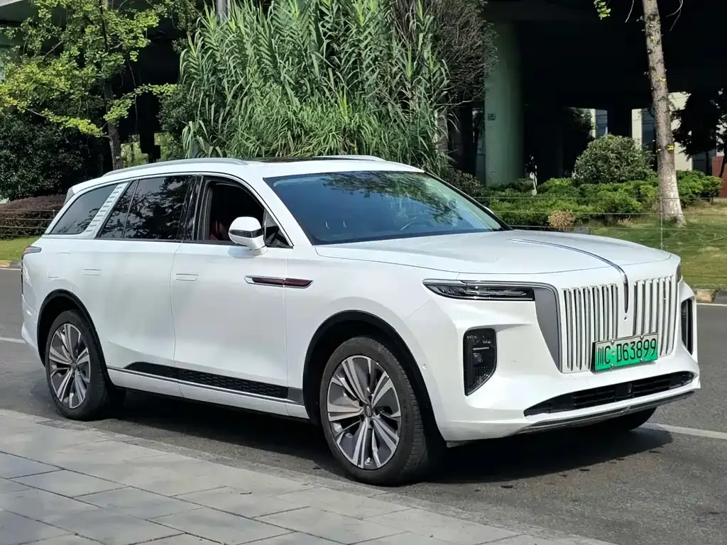 Hongqi E-HS9 — фото 8