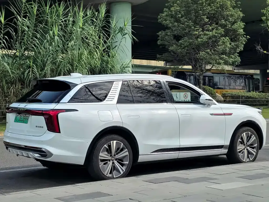 Hongqi E-HS9 — фото 10