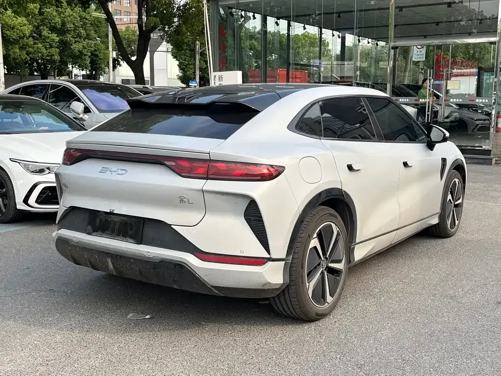 BYD L EV — фото 10