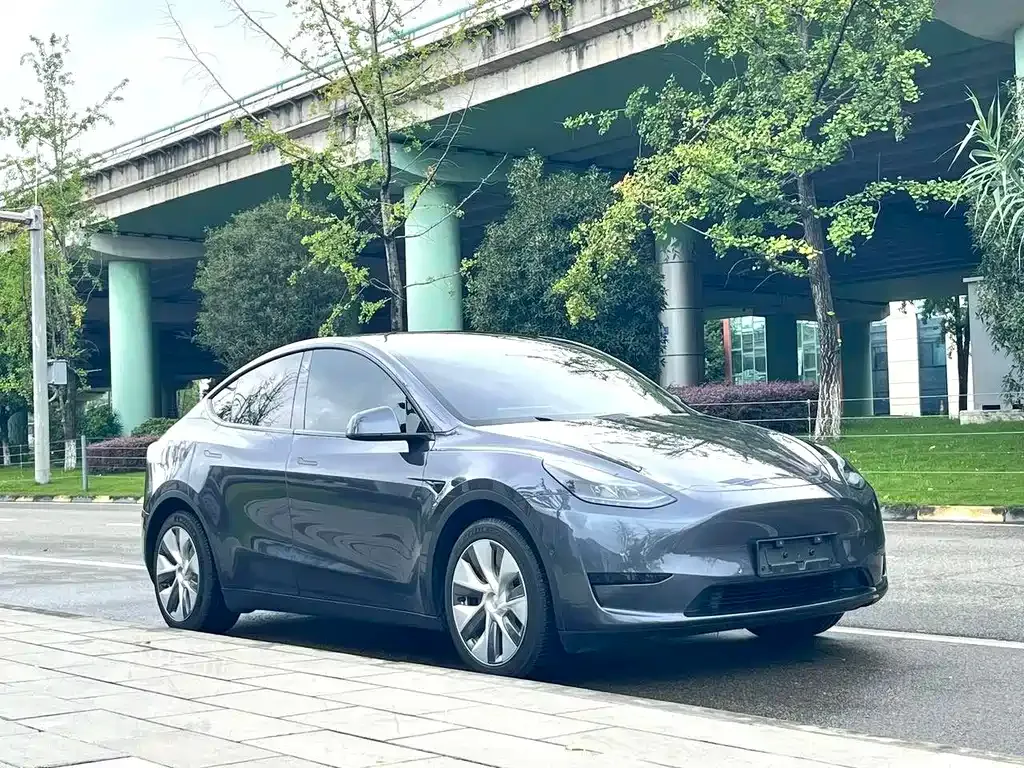 Tesla Model Y — фото 7