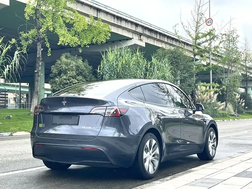 Tesla Model Y — фото 5