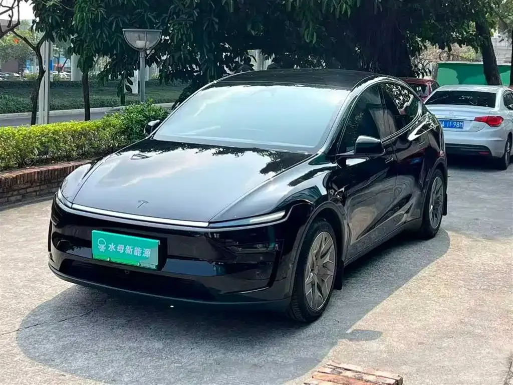 Tesla Model Y L — фото 1