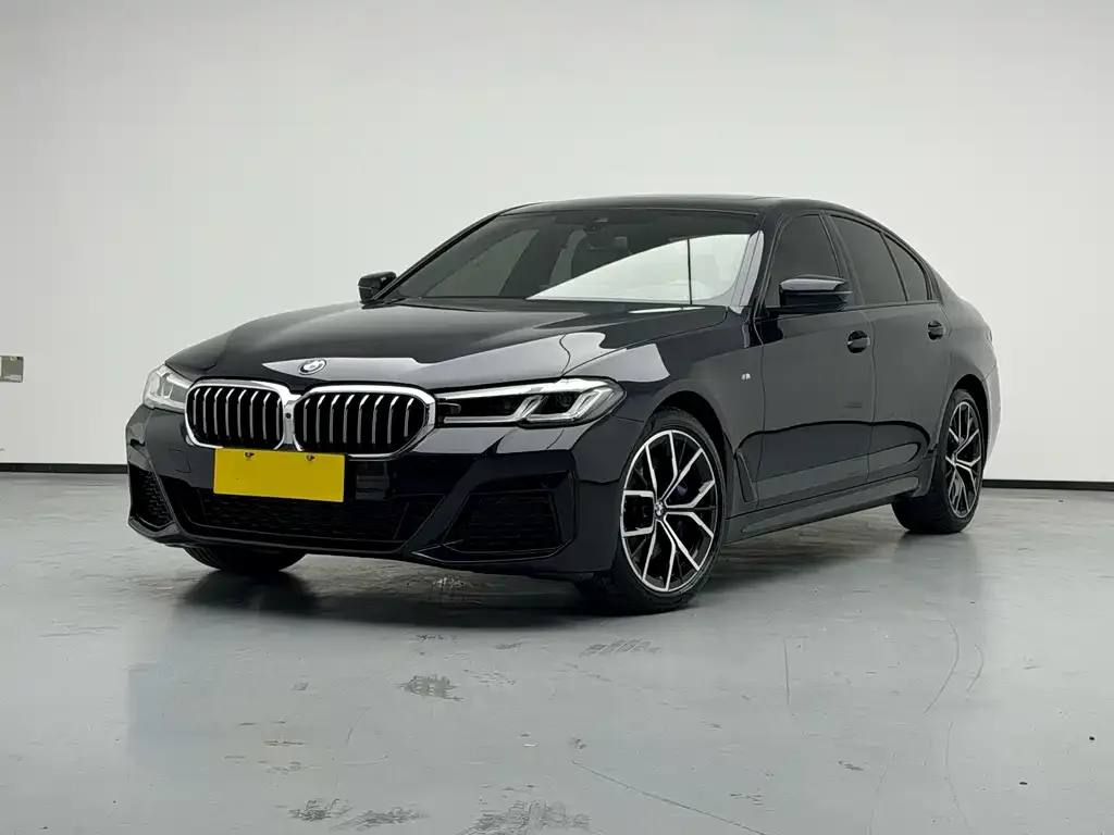 BMW 5 Series (Import) — фото 1