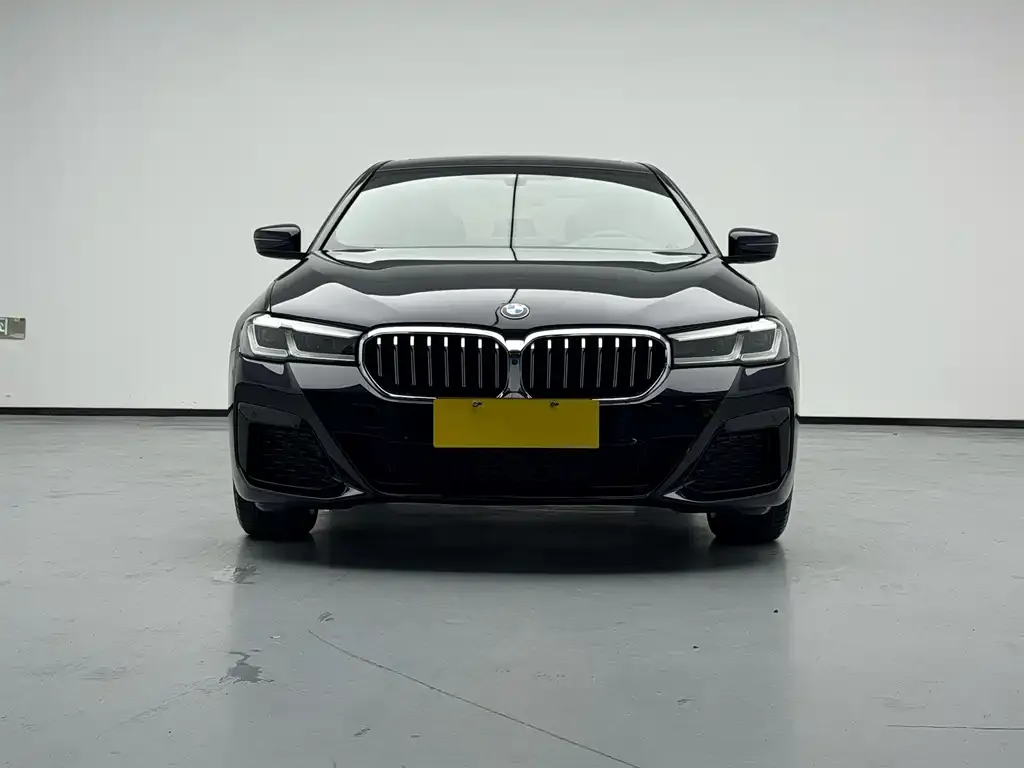 BMW 5 Series (Import) — фото 6
