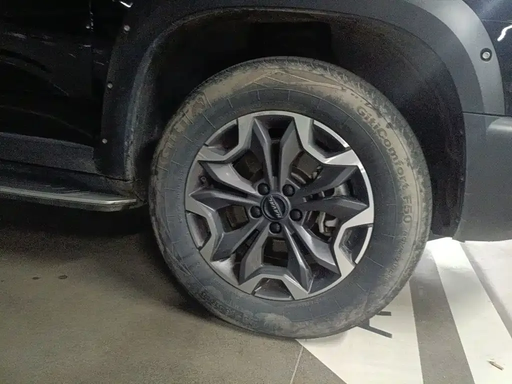 Haval Big Dog — фото 10