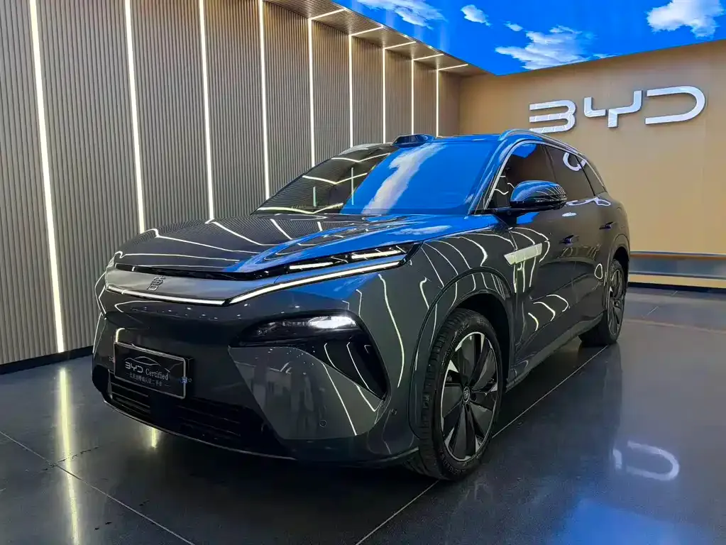 BYD Tang L — фото 1