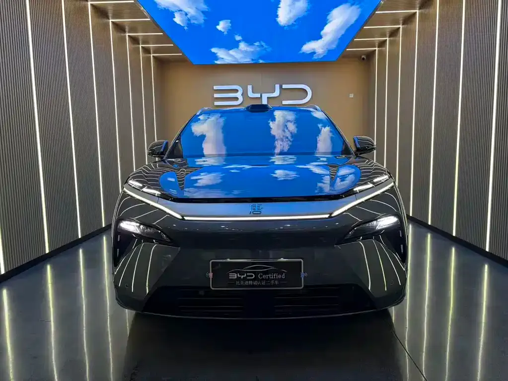 BYD Tang L — фото 7