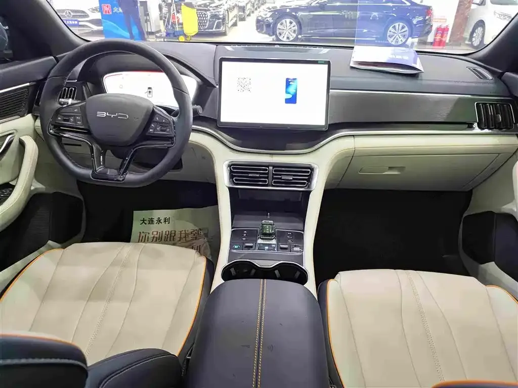 BYD PLUS New Energy — фото 2