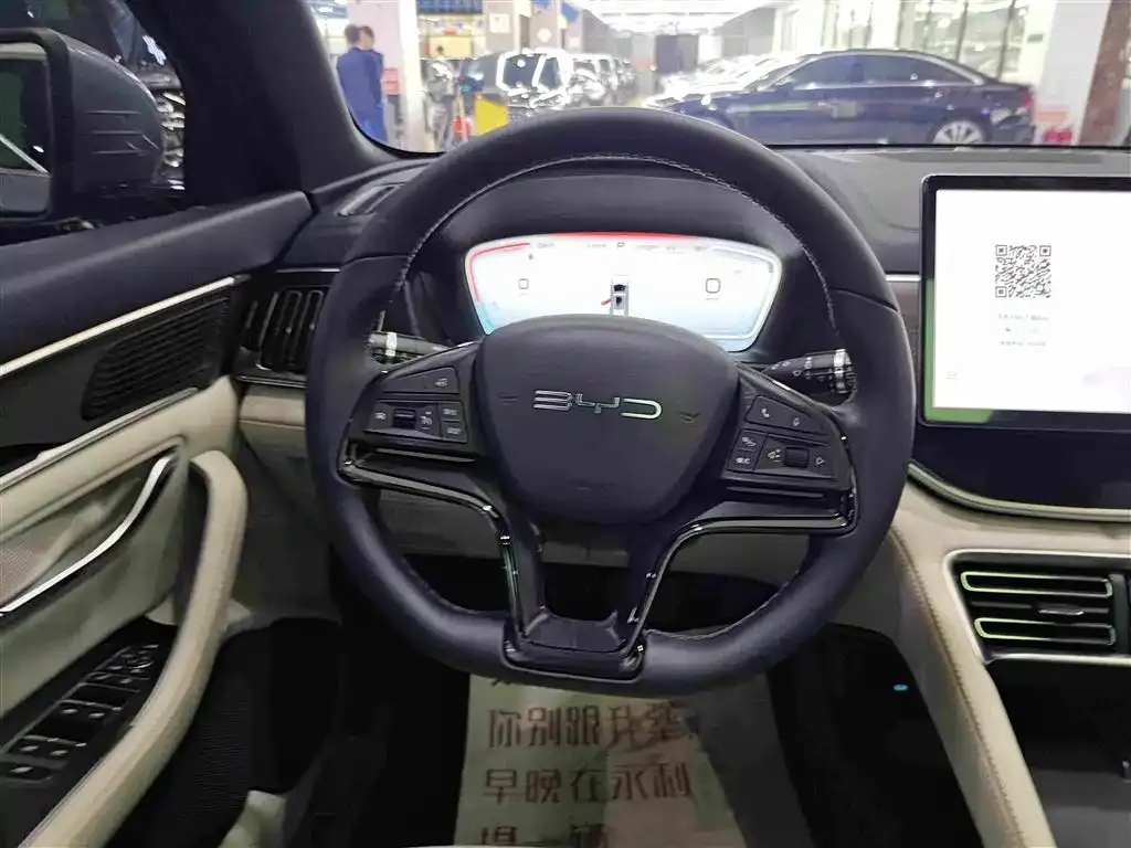 BYD PLUS New Energy — фото 8
