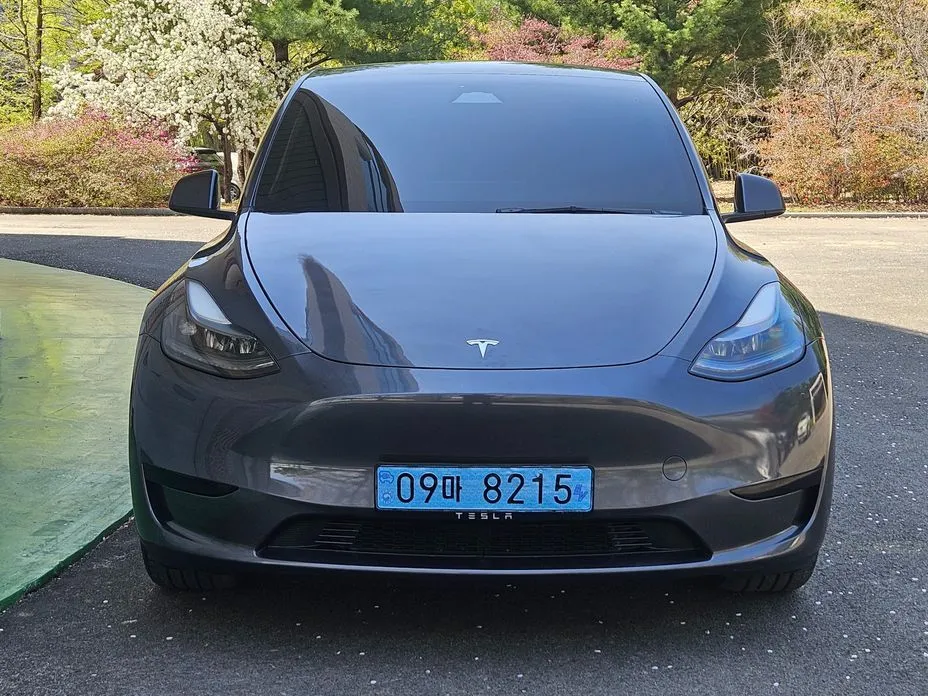 Tesla Model Y — фото 1