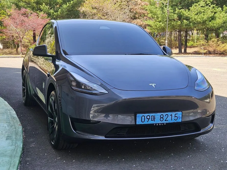 Tesla Model Y — фото 6