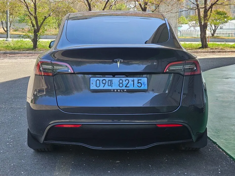 Tesla Model Y — фото 10