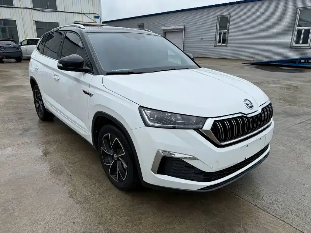 Skoda Kamiq — фото 6