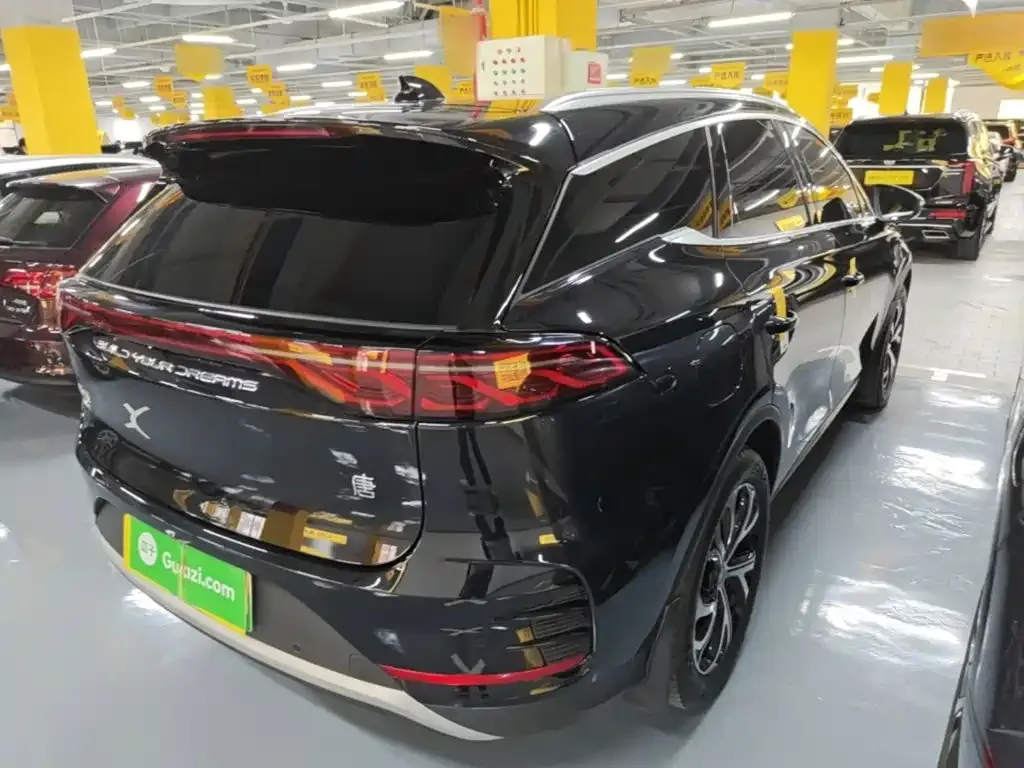 BYD Tang New Energy — фото 8