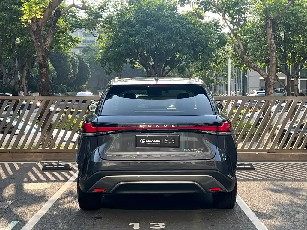 Lexus RX New Energy — фото 6
