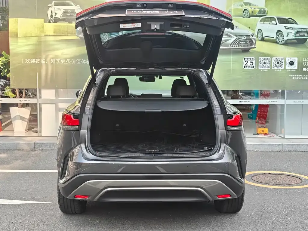 Lexus RX New Energy — фото 10