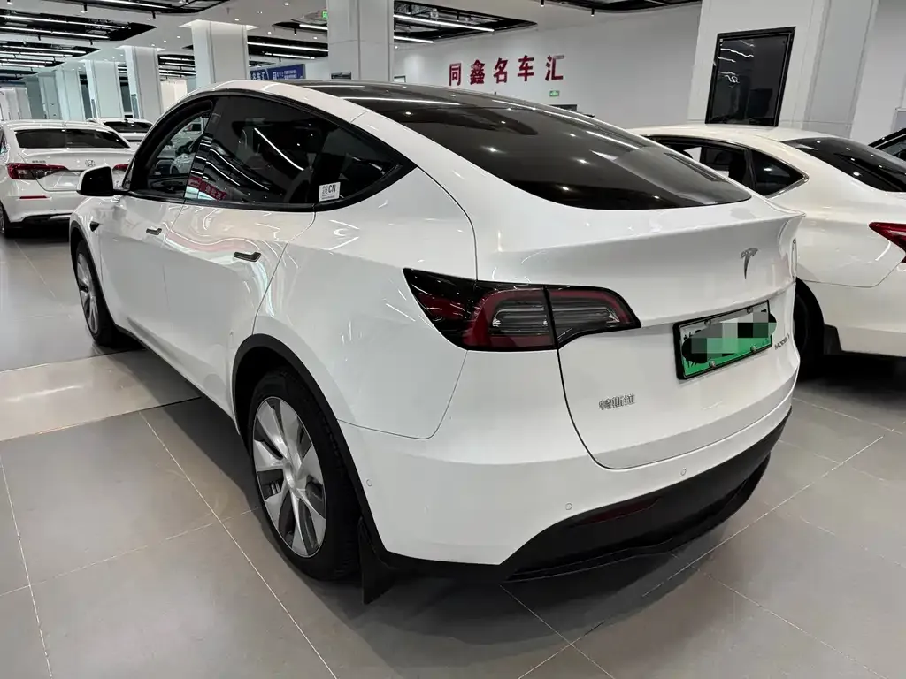 Tesla Model Y — фото 6