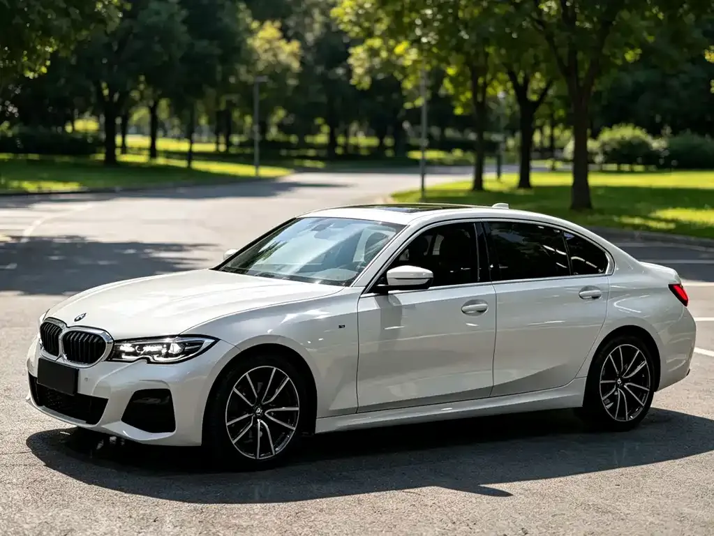 BMW 3 Series — фото 1