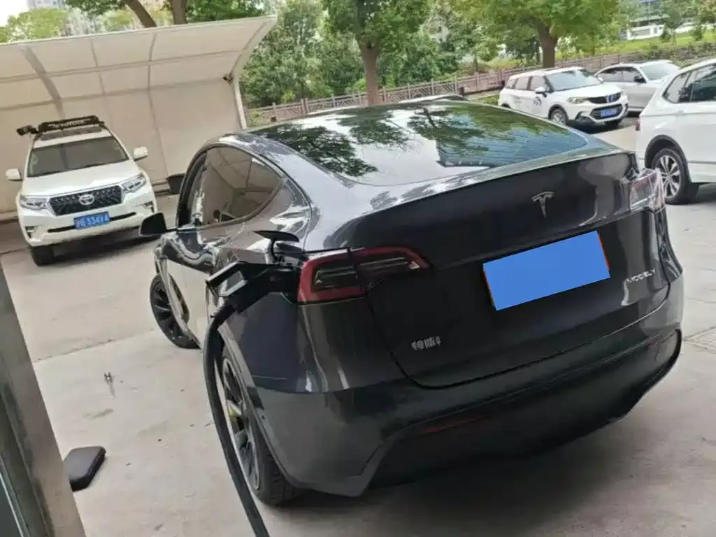 Tesla Model Y — фото 7