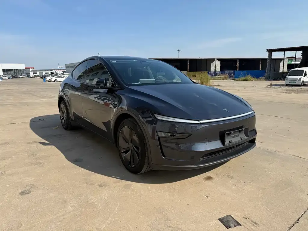 Tesla Model Y — фото 5