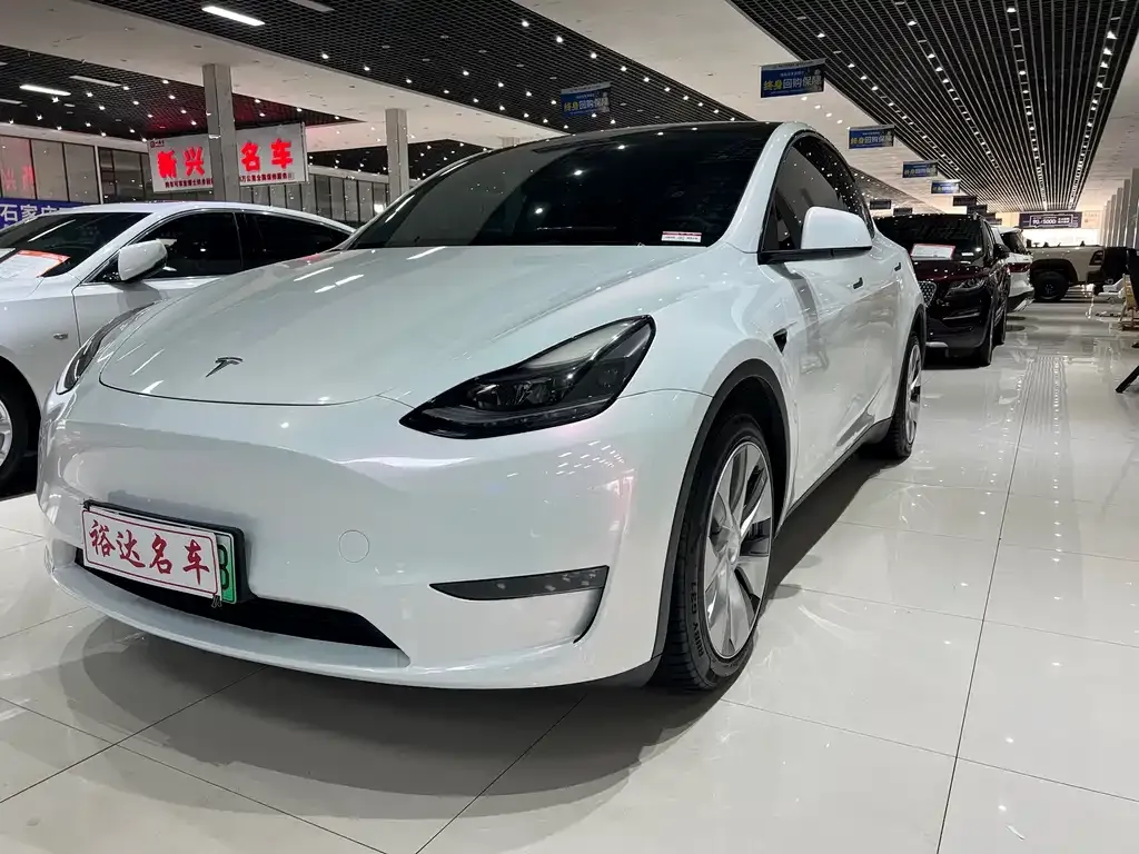 Tesla Model Y — фото 1