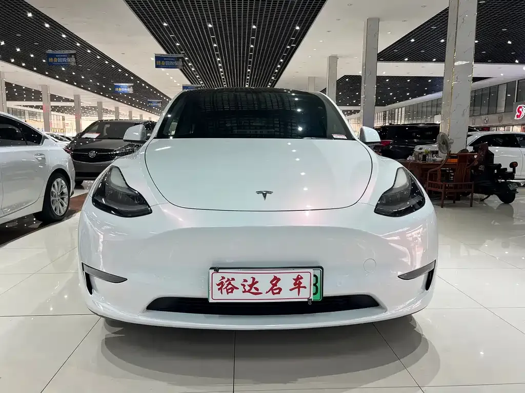 Tesla Model Y — фото 2