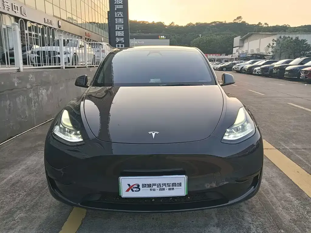 Tesla Model Y — фото 9