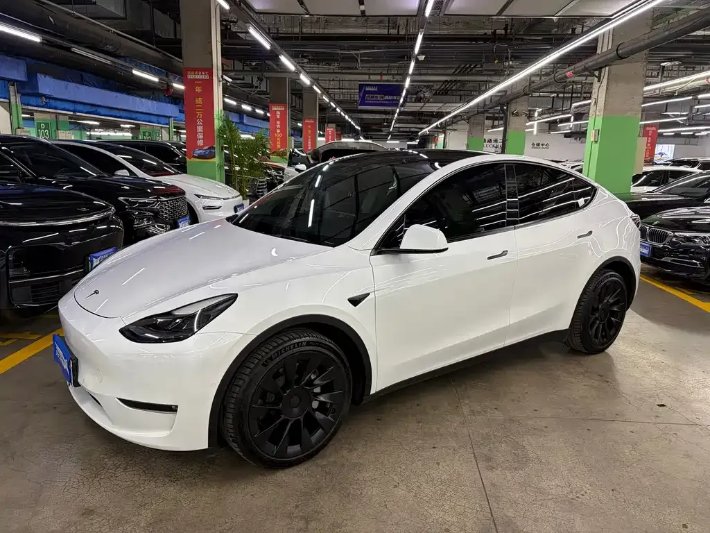 Tesla Model Y — фото 1