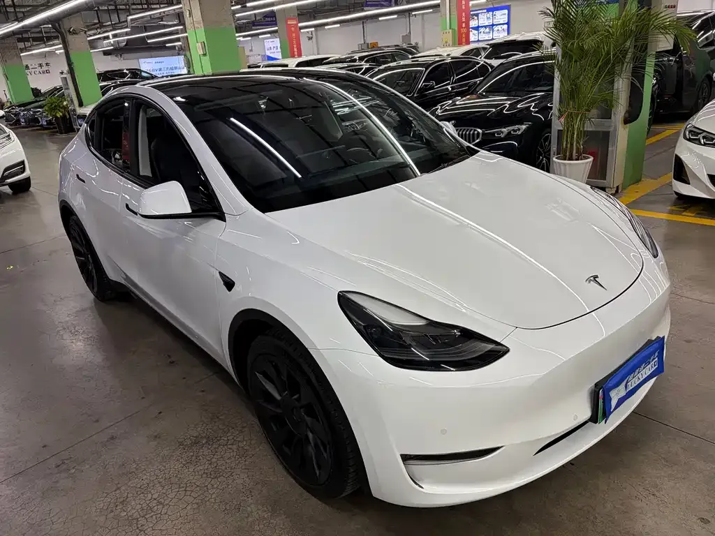 Tesla Model Y — фото 10