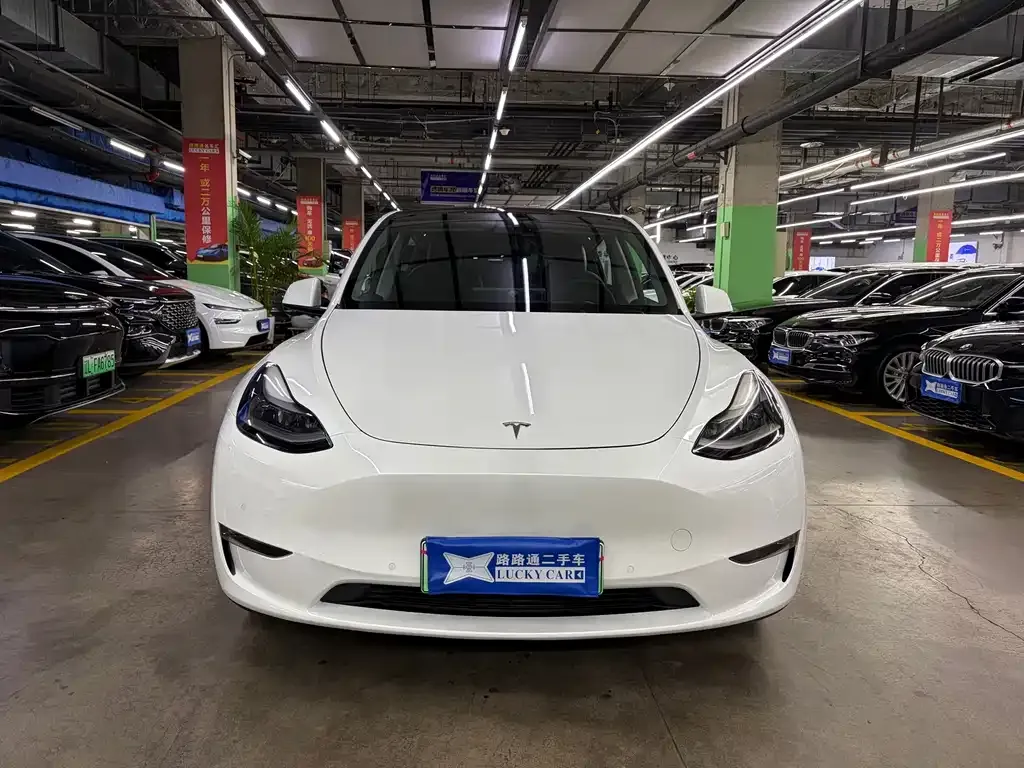 Tesla Model Y — фото 8