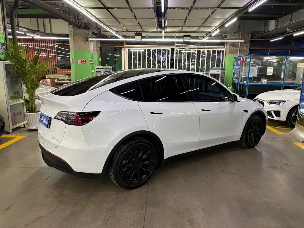 Tesla Model Y — фото 9
