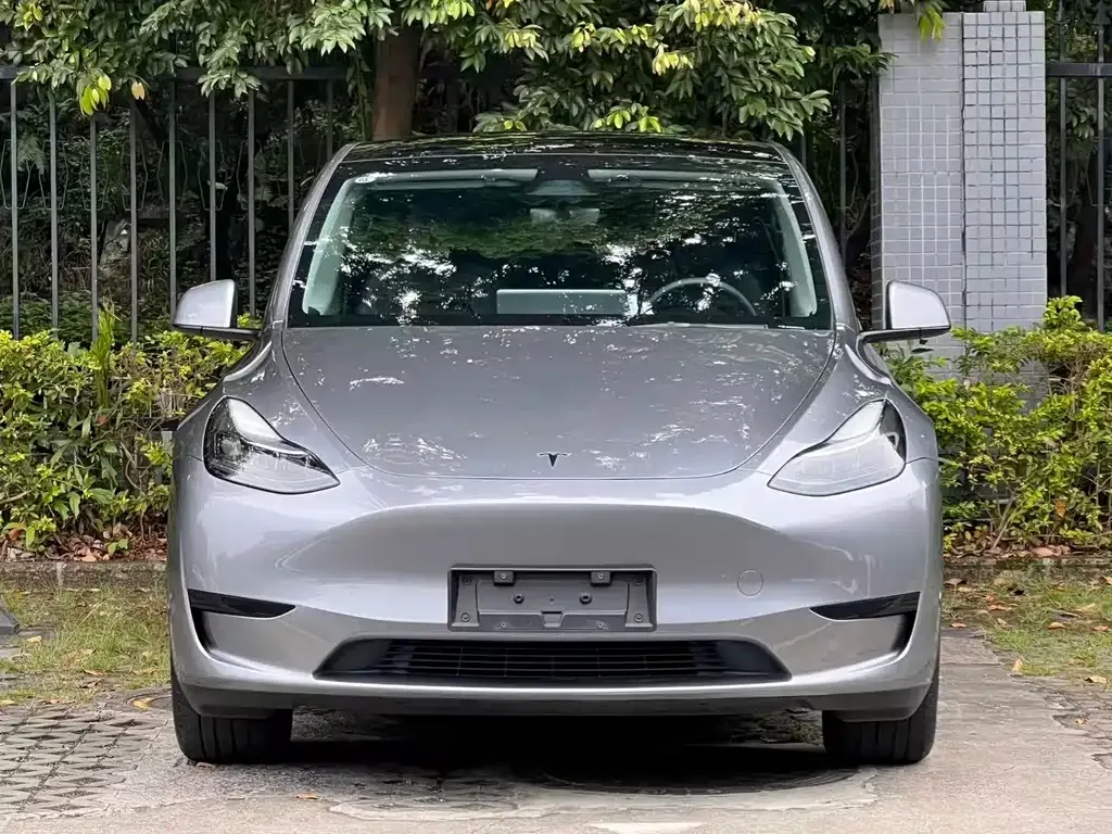 Tesla Model Y — фото 9