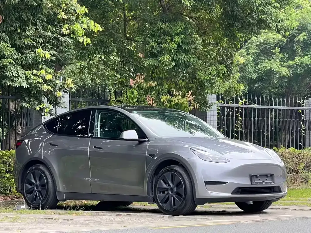 Tesla Model Y — фото 5