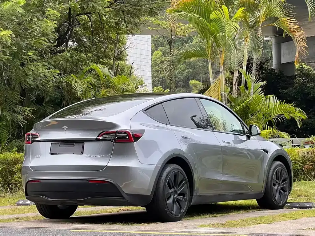 Tesla Model Y — фото 10