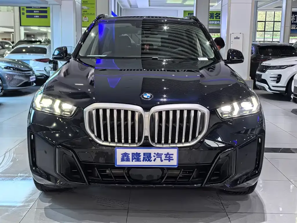 BMW X5 — фото 10