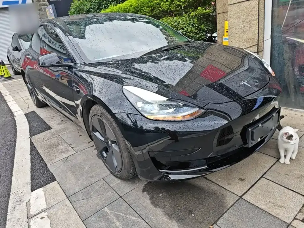 Tesla Model 3 — фото 10