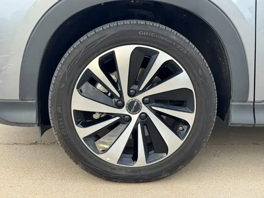 BYD PLUS New Energy — фото 6