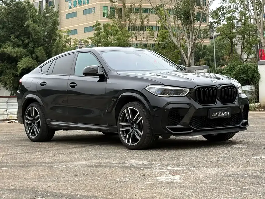BMW X6 M — фото 10